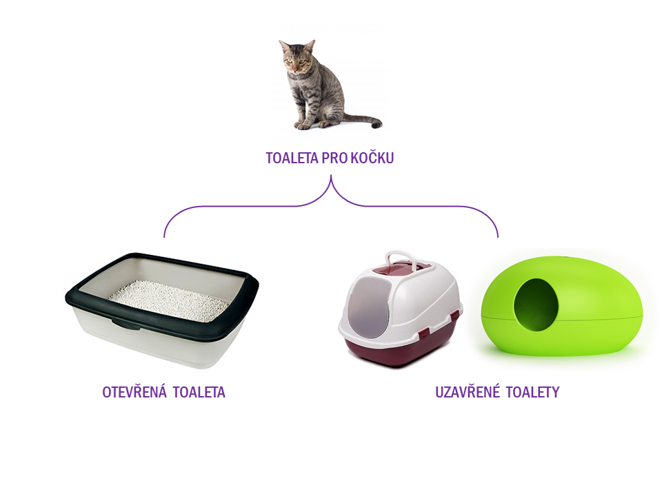 Jak uklidit kočičí záchod?